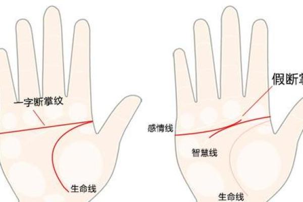 手相中的飞机线解析：揭示你人生的潜力与挑战
