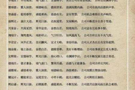 商贸公司取名创意大全 轻松找到合适名字