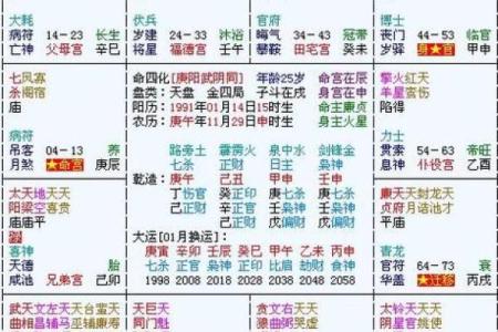如何选择适合的专业排盘软件提升占星分析精度