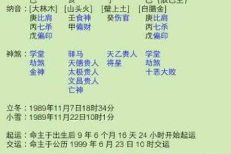 出生的人属什么命 解析命理特点与运势