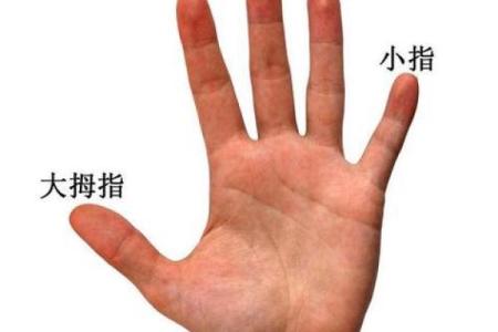 手相与房地产：预测你的置业运势