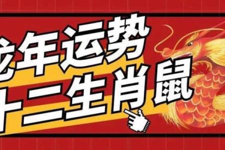 十二生肖每月运势指南：掌握每月运程，提前布局