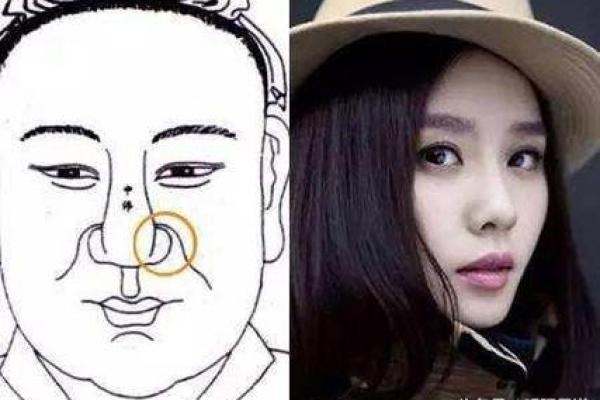 细解女星面相变化与事业运势的关系