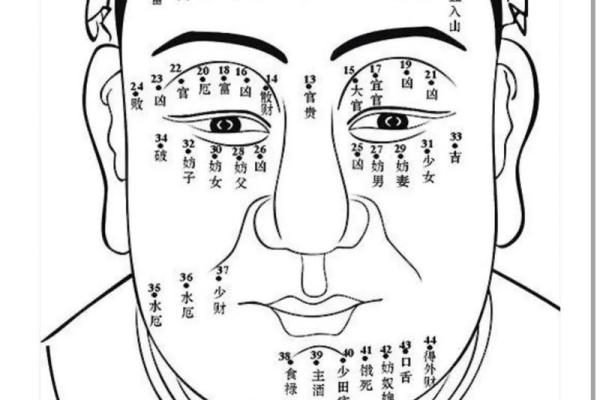 女相痣图中隐藏的命运密码与人生走向