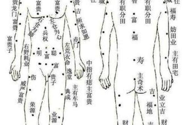 女相痣图中隐藏的命运密码与人生走向