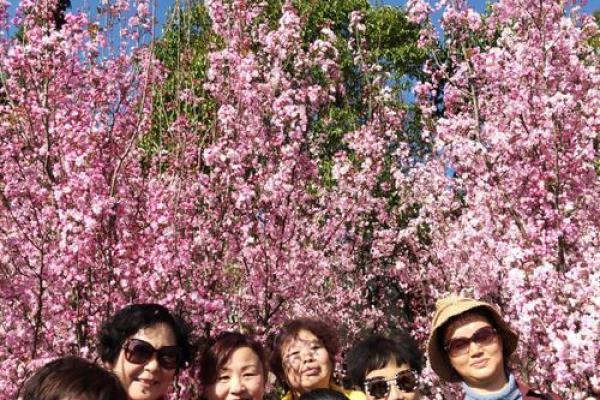 十月节日盘点：你不能错过的庆祝时光