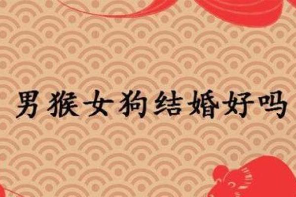 女狗与男猴婚姻配对解析：爱情与性格的平衡