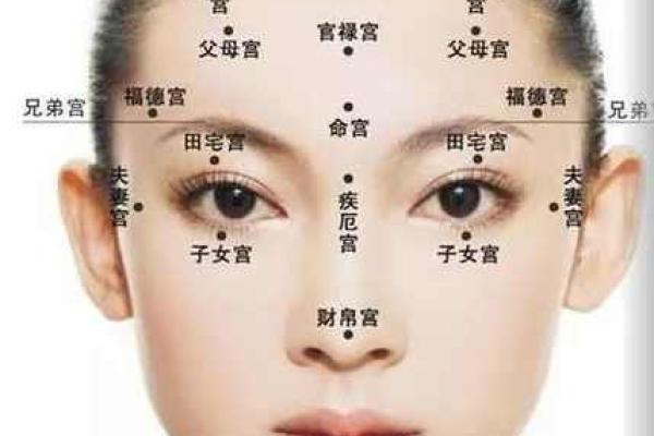 解析面相天庭特征与命运的深层关系