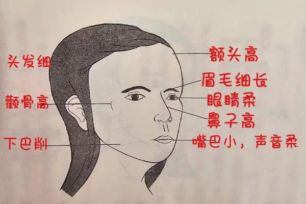 额头短的面相解析与性格特点分析
