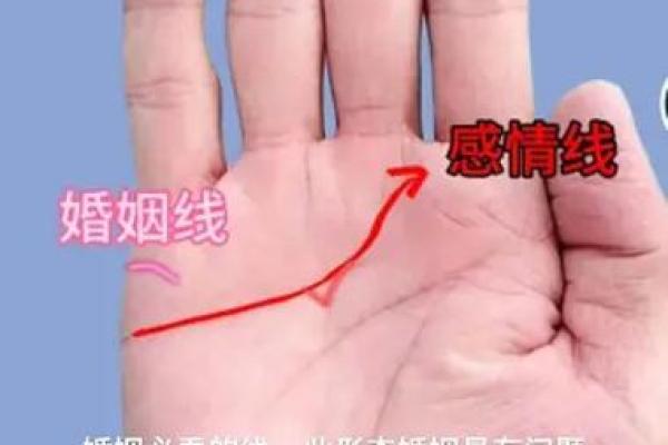 揭秘姻缘线手相：如何通过掌纹了解你的爱情命运