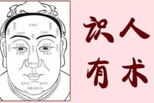 如何从鼻子宽的面相看人生走向