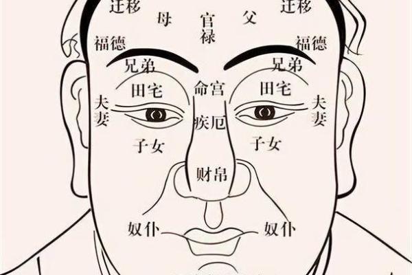 如何从鼻子宽的面相看人生走向