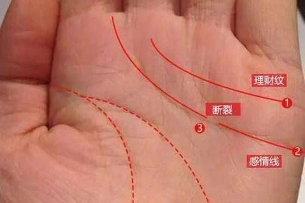 老板命手相解析：成功人士的手相都有哪些共同点