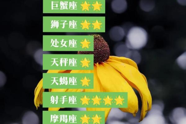 金牛座女生今日运势综述：平衡生活，迎接挑战