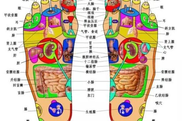 痣相与运势：迷信背后的心理与文化象征