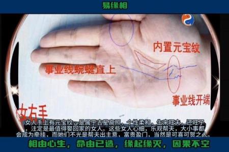 手相解读女性命运：一线一世的深刻含义
