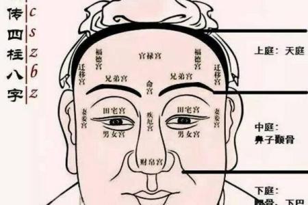 解析面相天庭特征与命运的深层关系