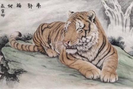 如何理解老虎命中的运势与性格特征