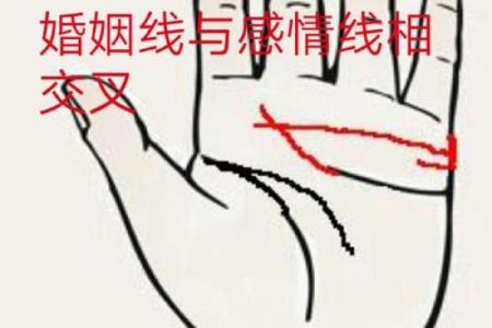 揭秘姻缘线手相：如何通过掌纹了解你的爱情命运