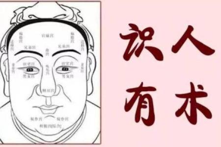 如何从鼻子宽的面相看人生走向