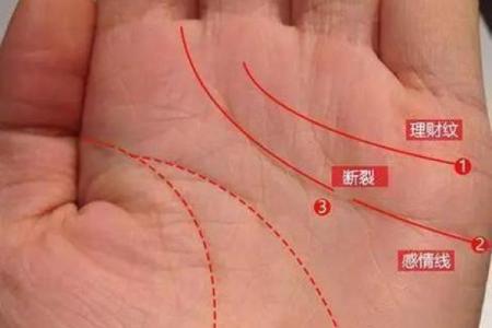 老板命手相解析：成功人士的手相都有哪些共同点