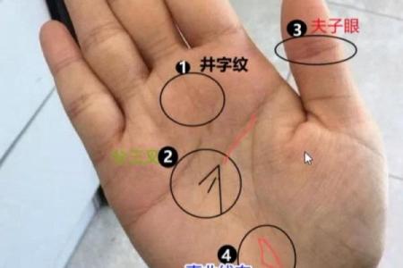 了解手相黑子纹的象征意义及对人生的影响