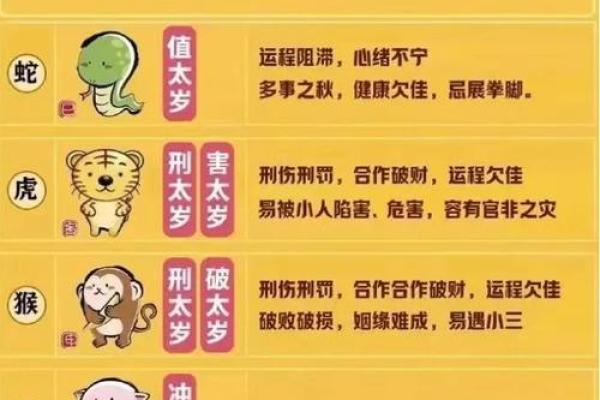 属相与命运的关系探讨