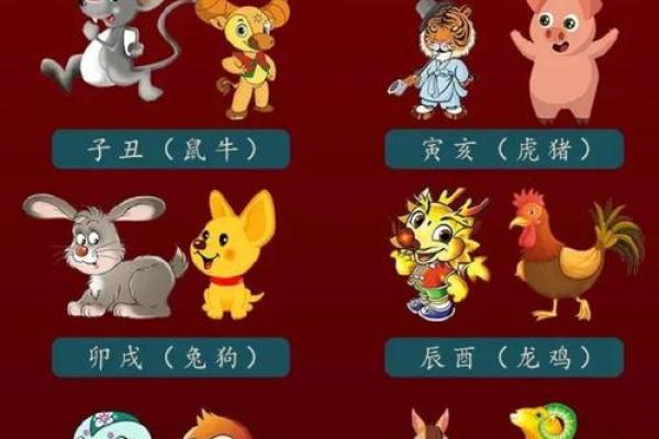 属相与命运的关系探讨