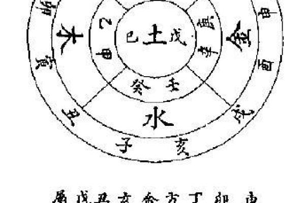 翼字五行属性解析与其象征意义