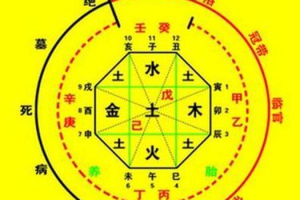 蓉字五行属性解析与命理影响