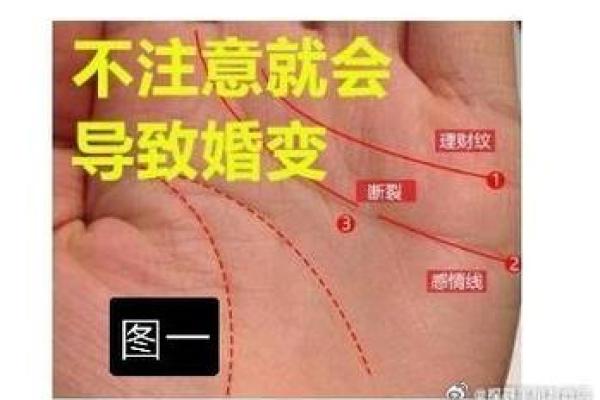 通过干手掌图揭示个人命运走势