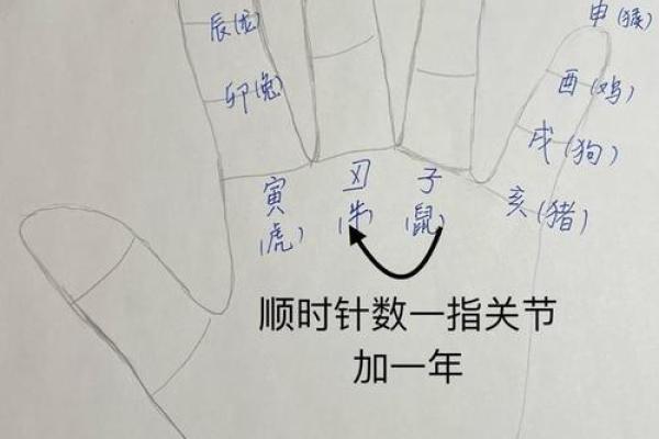 通过干手掌图揭示个人命运走势