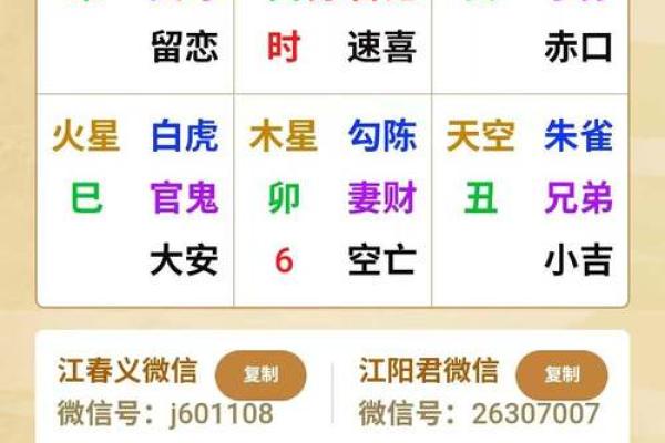 在线紫薇排盘工具：轻松解读你的命理信息