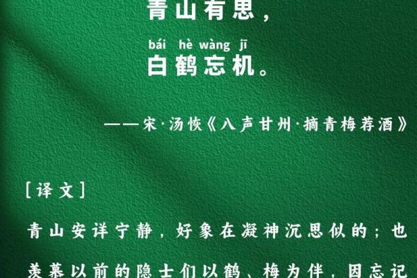 探索八字诗句的深邃意境与文化魅力