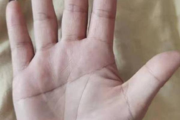 手相羽毛纹：探寻隐藏在你掌中的命运信号