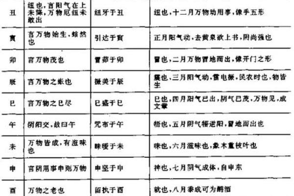 天干印格的命理解析与应用技巧