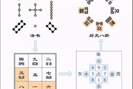 翼字五行属性解析与其象征意义