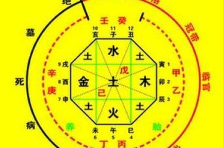 蓉字五行属性解析与命理影响