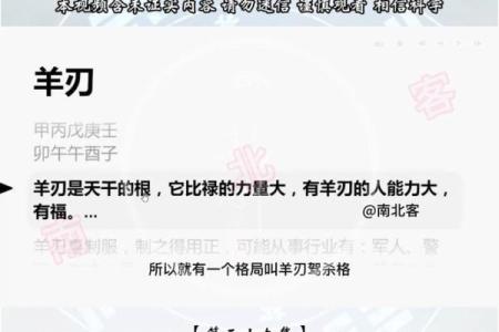 盲派命理实战技巧解析与应用方法