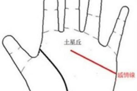 手相羽毛纹：探寻隐藏在你掌中的命运信号