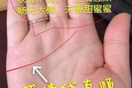掌纹与生育能力的关系，你的手相是否暗示怀孕机会