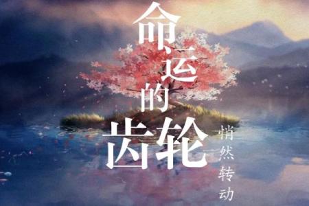 硬命的深层含义与生活中的体现