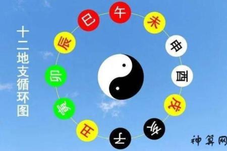 出生的人五行属什么解析与命运影响