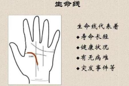 解梦与手相：如何通过解读揭示人生密码