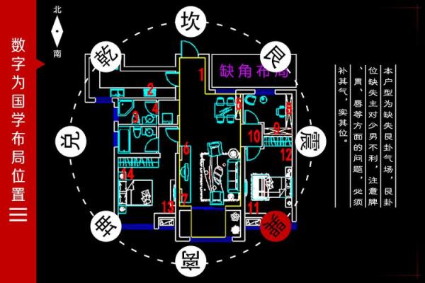门前栽葡萄如何影响家中财运与风水布局