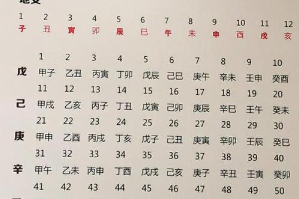 十天干与十二地支的五行属性解析及其相互关系