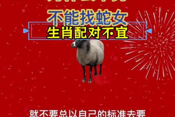 男羊女鼠婚姻关系：星座组合中的爱与冲突