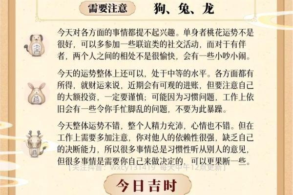 猴五行属性及其对应解析