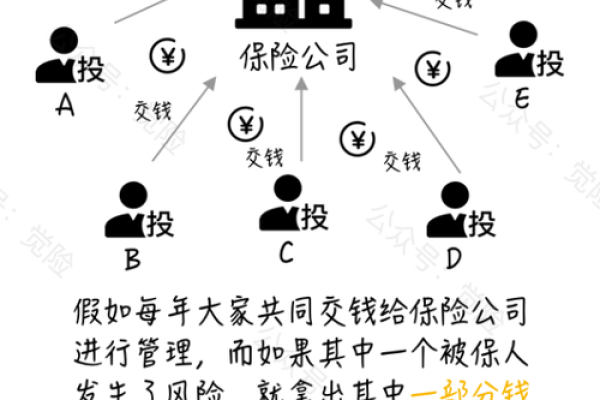 命理学的真相与误区，应该如何看待？