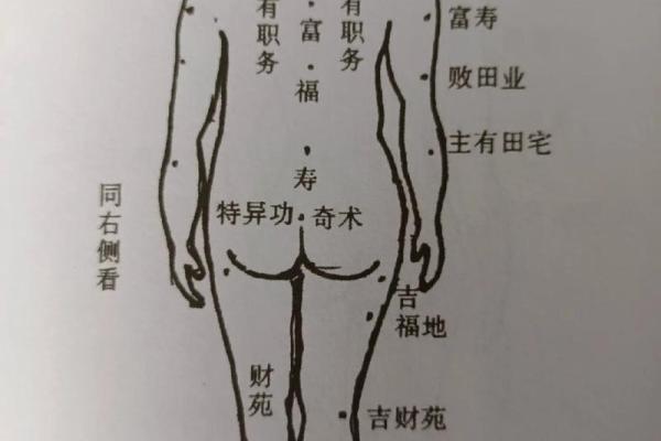 从面相看痦子位置的不同含义